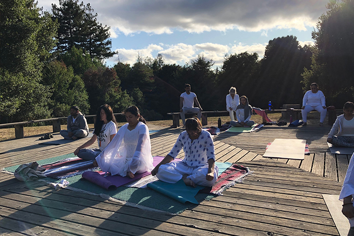 beginner yoga for adults